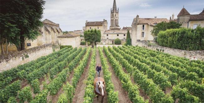 ホテル Clos Bernon リブルヌ エクステリア 写真